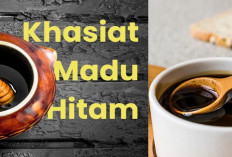 7 Manfaat Madu Hitam untuk Kesehatan, Bisa Melancarkan Aliran Darah ke Otak & Mengontrol Kadar Gula Darah