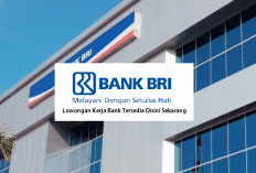 Bank BRI Buka Lowongan Kerja Untuk Posisi Relationship Manager, Yuk Daftar Sebelum Ditutup!