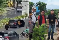 Diduga Rebutan Parkir, Dua Geng Bersenjata Tajam Bentrok di Depan Mal Palembang Square!
