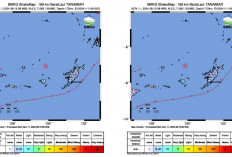 Info Terkini! Gempa Bumi Berkekuatan Magnitudo 5.2 Guncang Wilayah Barat Laut Tanimbar, BMKG: Imbau Waspada