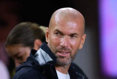 Zidane Turun Gunung, Les Bleus Makin Aman 