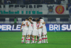 Dibuka Lowongan! Persis Masih Berburu Pelatih Pengganti Peter de Roo