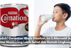 Waduh! Carnation Wajib Diboikot, Ini 5 Alternatif Susu Kental Manis yang Lebih Sehat dan Ramah Lingkungan