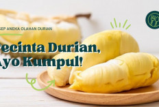 3 Resep Olahan Durian yang Enak dan Bikin Nagih, Wajib di Cobain...