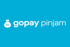 5 Penyebab GoPay Pinjam Ditolak, Karena Apa Sih? Simak Solusinya Secara Singkat!