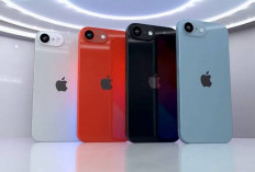 Mirip iPhone 14! Ini Bocoran Jadwal Rilis iPhone SE 4 dengan Inovasi Layar OLED dan Fitur Dynamic Island