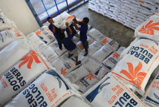 REKOR GILA! Stok Cadangan Beras RI Paling Gede dalam 57 Tahun, Tembus Segini!