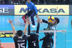 FIX! Medan Falcons Antarkan Samator Lolos Final Four Proliga 2026