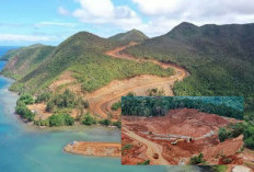 Sanksi Menanti, Ini Daftar Pemilik 4 Tambang Nikel di Raja Ampat yang Mengancam dan Berikan Dampak Buruk!