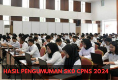 Sudah Keluar! Hasil Pengumuman SKD CPNS 2024 Hari ini, Berikut Jadwal Pelaksanaan SKB Resmi dari BKN