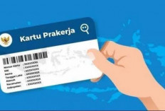 Diberhentikan Sementara Program Kartu Prakerja, Yuk Ketahui Waktu dan Syarat Pendaftaran Gelombang 72