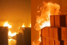 Kebakaran Gudang Bahan Pokok Jambi! 9 Armada Damkar Dikerahkan Semalaman