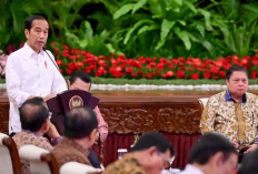Jokowi Bahas Program Makan Siang Gratis Prabowo-Gibran di Sidang Kabinet Paripurna