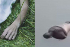 Penemuan Mayat Pria Tanpa Identitas di Kali Roxy, Polisi Lakukan Investigasi