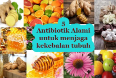 Rekomendasi 5 Jenis Antibiotik Alami Solusi Holistik untuk Mengatasi Berbagai Penyakit, Gini Penjelasannya