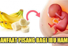 4 Manfaat Buah Pisang Bagi Ibu Hamil yang Jarang Diketahui, Salah Satunya Baik untuk Perkembangan Otak Janin..