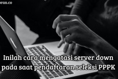 Kendala Pendaftaran Seleksi PPPK 2024? Inilah Cara Mengatasi Server SSCASN Down di Hari Terakhir Seleksi