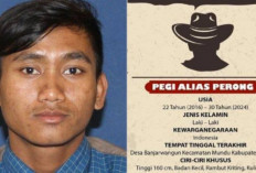 Buronan 8 Tahun Akhirnya Ditangkap! Inilah Profil Pegi Perong Pelaku Pembunuhan Vina Cirebon...