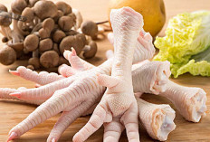 Manfaat Luar Biasa Ceker Ayam untuk Kesehatan Tubuh Anda