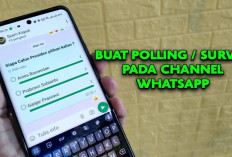 WhatsApp Channel Hadirkan Fitur Polling, Apa Keunggulannya?
