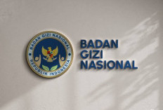 BGN Resmi Buka Lagi Pendaftaran Mitra Dapur MBG, Kuota Terbatas di 38 Provinsi Cek Syaratnya