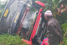 Bus yang Mengangkut 'Urang Awak,, Masuk Jurang di Lahat, 1 Penumpang Tewas 