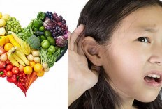 Simak Nich 7 Makanan Sehat untuk Pendengaran,  Apa Saja dan Bagaimana Manfaatnya?