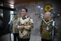 Kementan Siapkan Langkah Lindungi Petani Singkong, Begini Rencananya 
