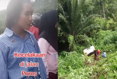 Hujan, Ngebut di Jalan Mulus,  Ayla Warna Kuning Masuk Jurang, Begini Nasib Pengemudinya 