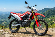 Gahar di Tanah! Honda CRF 2026 Tawarkan Sensasi Off-Road Nyata Rp35 Jutaan