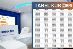 Super Lengkap! Tabel KUR BRI 2024 dengan 3 Trik Terbaru Agar Pinjaman Cepat Cair dan Bunga Rendah