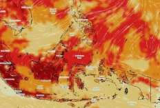 Gelombang Panas Ekstrem Hantam Jawa Hari Ini! BMKG: Suhu Terasa Capai 38 Derajat, Hindari Aktivitas Siang 