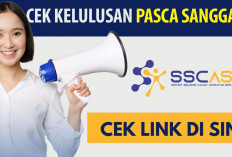 Resmi Diumumkan! Ini Link untuk Cek Hasil Masa Sanggah Seleksi CPNS 2024 di Seluruh Instansi