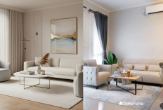 5 Inspirasi Ruang Tamu Minimalis Mewah dengan Pencahayaan Alami yang Bikin Adem! 