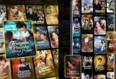 3 Rekomendasi Aplikasi Drama China Penghasil Saldo DANA, Terbukti Auto Cair 2026! 