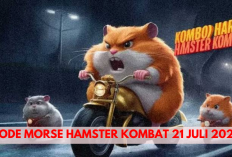 Auto Cuan! Kode Morse Hamster Kombat Hari ini 21 Juli 2024 Sudah Keluar, Raih Hadiah 5 Jutaan Koin Gratis...
