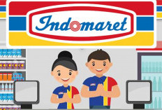 Info Loker Indomaret & Alfamart April 2026, Syarat Lengkap dan Cara Lamar, Wajib Pantengin!