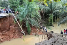 Jalan Amblas di Perbatasan Sumbar-Jambi, Akses Terputus Total