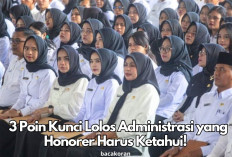 H-2 Pembukaan Seleksi PPPK 2024 Tahap Kedua, Honorer Perhatikan 3 Poin Kunci Lolos Administrasi!