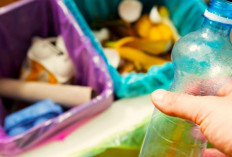 Sampah Domestik Jadi Multifungsi, Berikut 10 Cara Pengolahannya agar Lingkungan Rumah jadi Sehat!