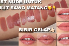 Apa Saja Shade Wardah Exclusive Matte Lip Cream Yang Cocok  Untuk Kulit Sawo Matang, Yuk Cari Tau!