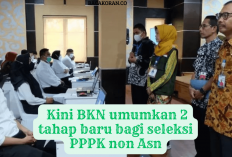  Wajib Tahu! BKN Umumkan 2 Tahap Wajib bagi Non ASN dalam Seleksi PPPK 2024