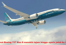 Pesawat Boeing 737 Max 8 Menukik Tajam, Hampir Terjun ke Lautan di Kawasan Wisata Terkenal Dunia!