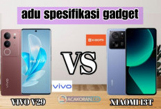Adu Spesifikasi Gadget: Vivo V29 vs Xiaomi 13T, Mana Terbaik?