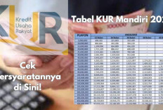 KUR Mandiri 2025 Resmi Dibuka dengan Bunga Cuma 0,5 Persen, Siapkan Kartu BPJS Ketenagakerjaan Sekarang!