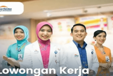 Lowongan Kerja di Jakarta Khusus Lulusan S1 di PT Kimia Farma Trading & Distribution, Disini Daftarnya Gais!
