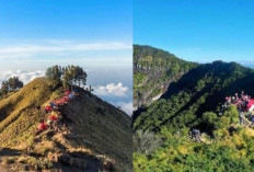 Auto Keren! 3 Rekomendasi Gunung Terbaik yang Cocok Dikunjungi Saat Perayaan Tahun Baru, Jadi Mau Kemana Nih? 