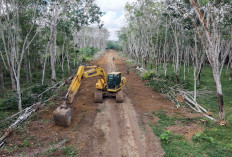 TMMD Kodim 0420/OKI Buka Akses Jalan Baru, Pelancar Distribusi Hasil Pertanian 