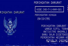 Postingan ‘Peringatan Darurat’ Garuda Berlatar Biru Viral, Apa Maksud dan Hubungannya dengan Putusan MK?