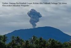 Update, Gunung Ibu Kembali Erupsi, Kolom Abu Vulkanik Setinggi 700 Meter, Masyarakat Dihimbau Waspada!